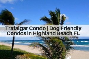Trafalgar Condo dog friendly condominium in Highland Beach Florida