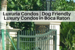 luxuria condos on the ocean in boca raton florida dog and cat friendly - boca raton florida