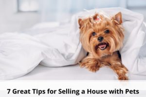 White over lay at the bottom that says 7 Great Tips for Selling a House with Pets with a yorkie dog under white bed sheets