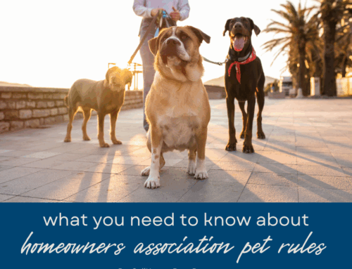 Everything You Need to Know About HOA Pet Rules in Boca Raton