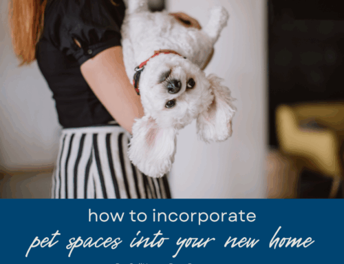 How to Incorporate Pet Spaces Into Modern Home Designs