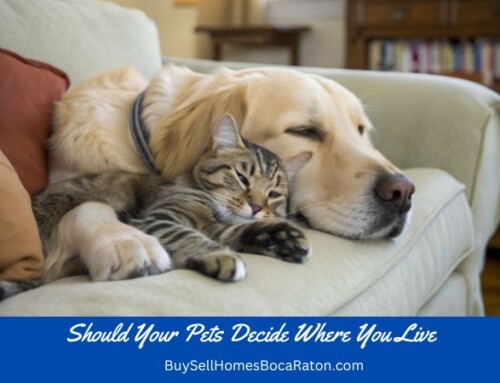 Should Your Pet Decide Where You Live