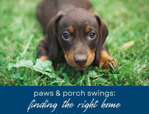 Paws & Porch Swings: Finding a Home That Welcomes Both You and Fido